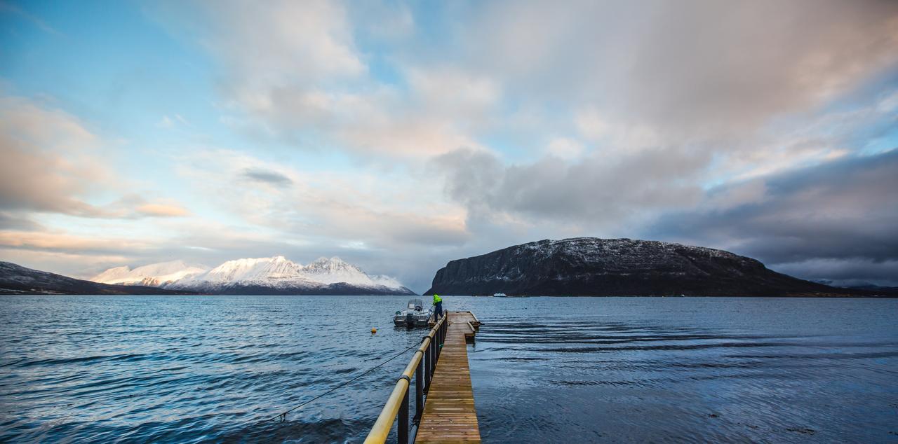 Arctic Panorama Lodge Uløybukta Esterno foto